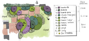 Boceto de diseño de jardín de aromáticas con distribución de especies mediterráneas y niveles en proyecto de paisajismo residencial – GOAN Marbella